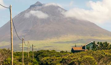 Highlights of the Azores Tour