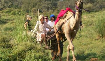 Best of Rajasthan Tour Tour