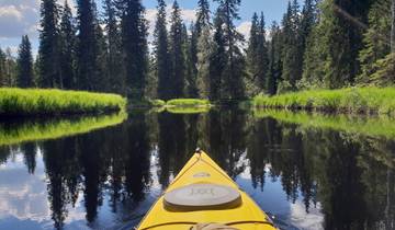 Canoeing escape into the Wilderness in Finland, 105km Tour